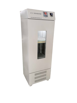 BS-2F双层恒温摇床